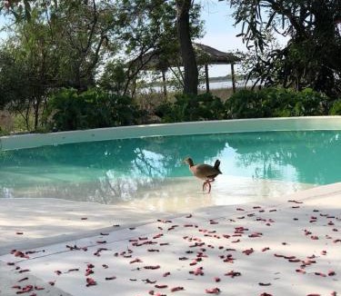 Colonia Carlos Pellegrini Hotel | Casa Santa Ana del Iberá