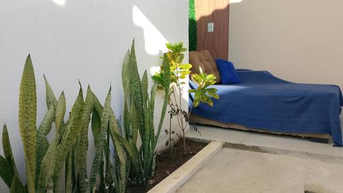 Santo Agostinho House | Casa Sol