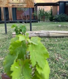 San Carlos Department House | Casa Vino Andino