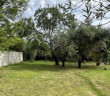 Navarro House | Casagrande Navarro