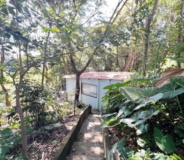 Jardim Botanico House | Casinha Natureza