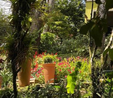 Guaramiranga Hotel | Cedros Pousada