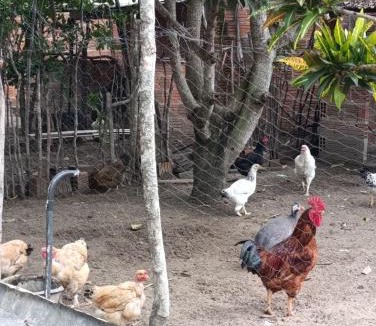 Buique House | Chácara Aconchego do Vale - Catimbau, Buíque, PE
