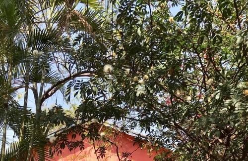 Sao Pedro House | Chacará with swimming pool, soccer field, orchard and barbecue