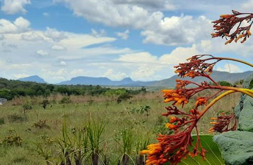 Alto Paraiso de Goias House | Chalé Néctar - Recanto do Beija Flor