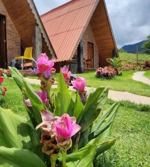 Divino de Sao Lourenco Ski Chalet | Chalés Flor do Caparaó em Patrimonio da Penha