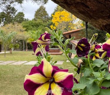 Jacarei Villa | Chalés natureza