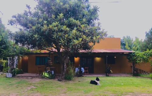 Colonia Carlos Pellegrini House | Che Camba