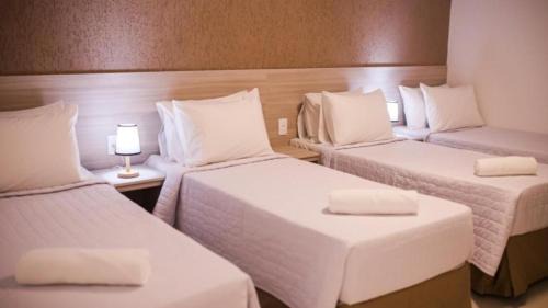 Vitor Hugo Resort | China Park Eco Resort