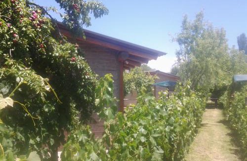 San Rafael Cabin | Complejo Los Ciruelos