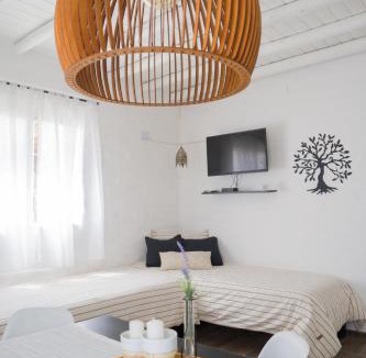 Barreal Apartment | Complejo Willy Pampa