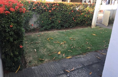 Sao Jose da Coroa Grande House | Conforto e Lazer em Condomínio na Praia