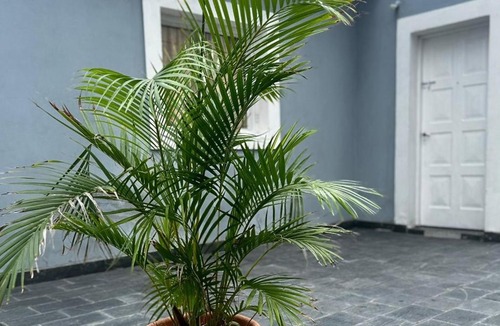 Aimogasta Apartment | Cordon del Velazco1