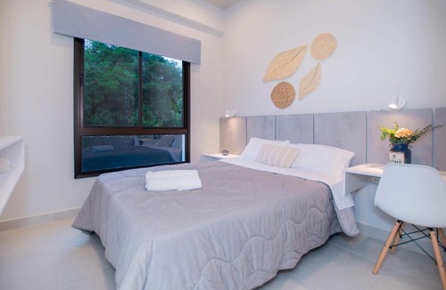 Fernando De La Mora Apartment | Cozy One-Bedroom Apartment with Sofa Pool and Cowork