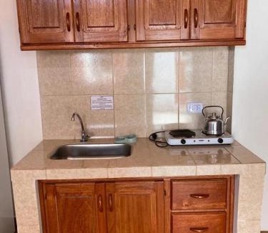 Leandro N. Alem Apartment | Departamento ALEM Juan Jose Paso