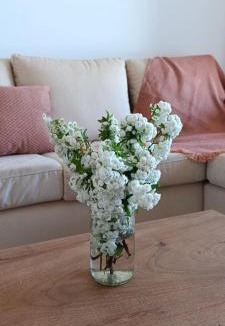 Veinticinco de Mayo Apartment | Departamento 25 de mayo Buenos Aires