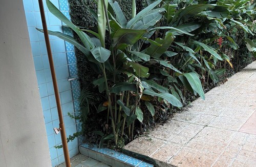 San Lorenzo Villa | Diosa Blanca tropical garden villa with pool and BBQ.