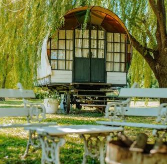 Carlos Keen Other | Don Aniceto Lodges & Glamping