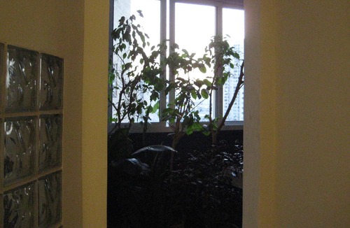 Lapa Apartment | DOUBLE ROOM IN ALTO DA LAPA IN RESIDENCE