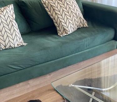 Neuquen Apartment | Dpto en Neuquén amueblado 2 ambientes, muy luminoso en zona céntrica
