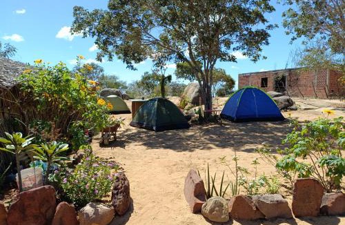 Tupanatinga Other | Ecocamping Okaeté