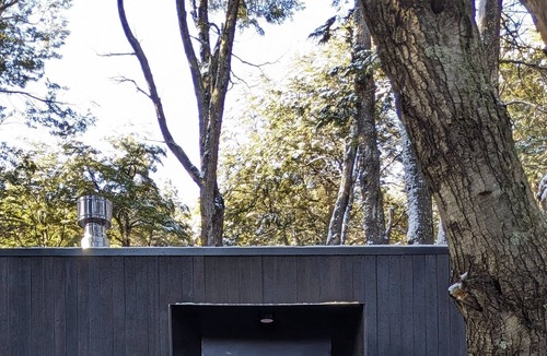 Peninsula San Pedro Cabin | El bosque