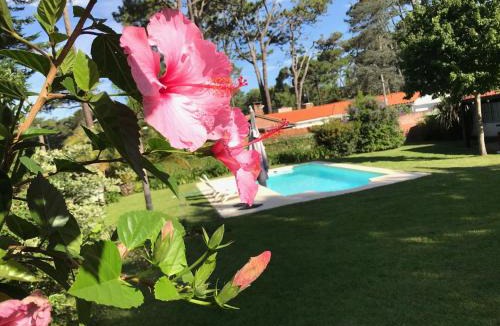 Punta del Este House | El Gauchito