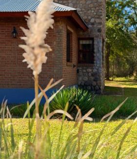 Nono House | El Joaquin