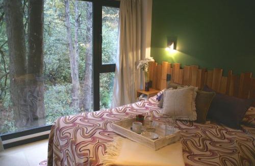 Lanin National Park Apartment | El Oasis Apart Hotel
