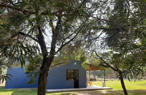 Empalme Lobos House | El puesto