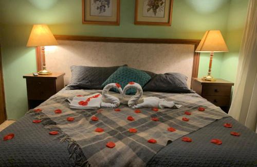 V Cristina Hotel | excluir