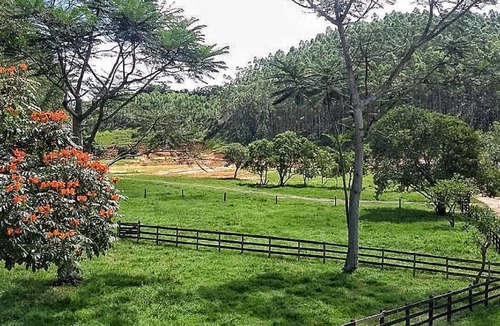 Sao Jose dos Campos Other | FARM BOOTS CAT