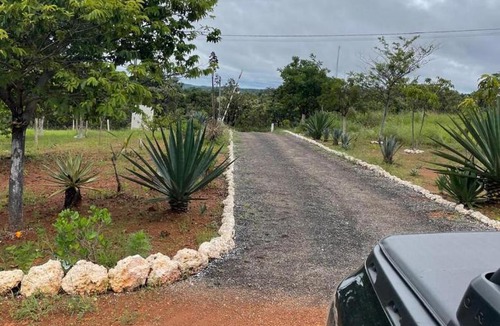 Gama House | Fazenda Buritis