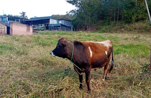 Campo Limpo Paulista Ski Chalet | Fazendinha Vovó Mélia