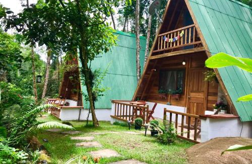Ubatuba Other | Floresta Encantada
