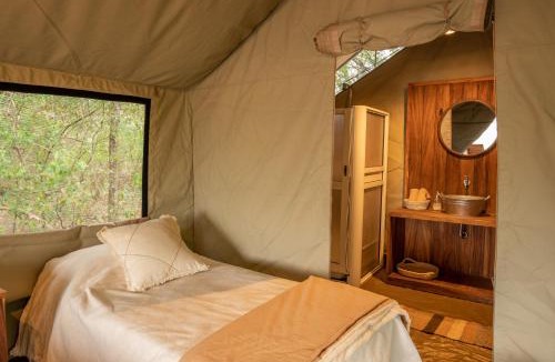 Wichi - El Pintado Other | Glamping Los Palmares