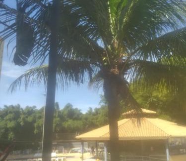 Caldas Novas Apartment | Golden Dolphin Grand Hotel