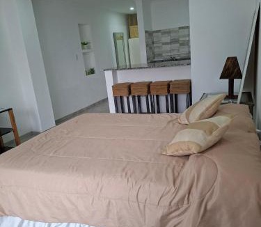 Cruz del Eje Apartment | Gramado
