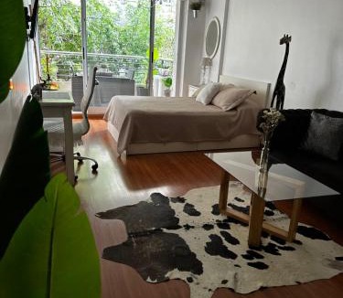 Colegiales Apartment | Hermoso Monoambiente en Belgrano Buenos Aires