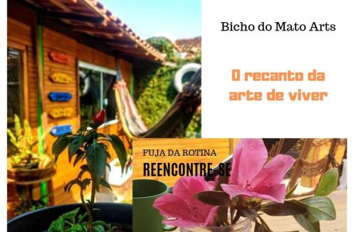 Sao Joao House | Hospedagem Bicho do Mato Arts