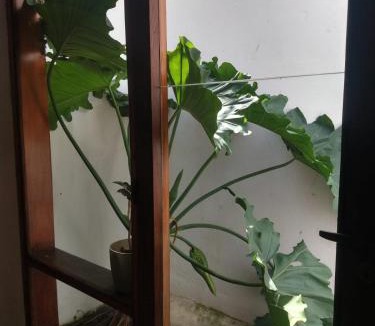 Rio Ceballos House | Hospedaje JosEva