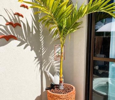 Praia dos Carneiros Apartment | Hospede-se com Estilo em Carneiros - Flat com Jacuzzi