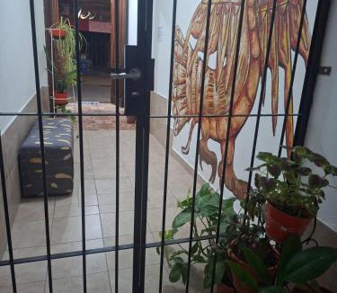 Salta Hotel | Hostal AMALAYA