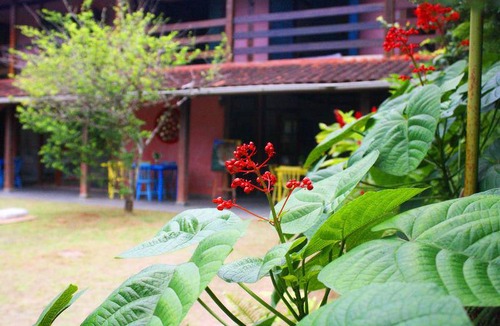 Barra do Sahy Hostel | Hostel ∙ 8 guests