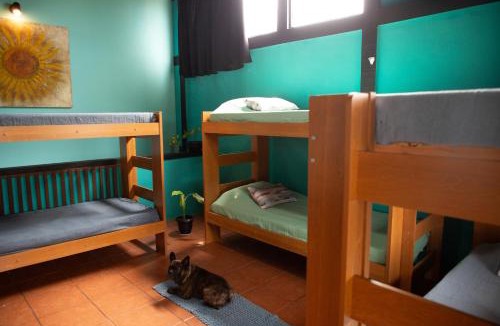Vila Caranga Hostel | Hostel Casa Lion - Shared room