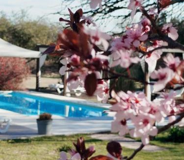 Villa General Belgrano Hotel | Hotel Boutique Spa & Sushi Posada de Campo-Solo adultos