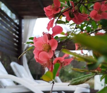 Villa General Belgrano Hotel | Hotel Boutique Spa & Sushi Posada de Campo-Solo adultos