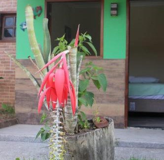 Coroaci Hotel | Hotel Club Resort Místico