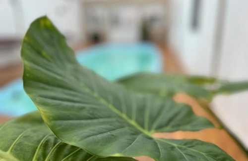 San Clemente Hotel | Hotel Gran Continente