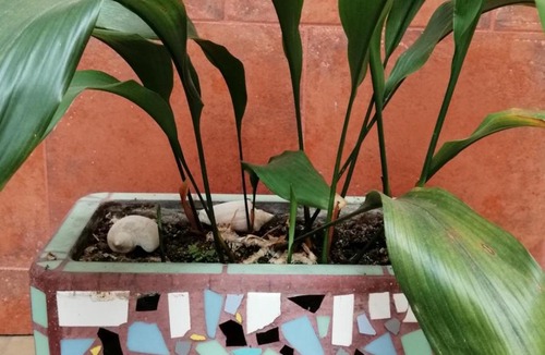 San Nicolas Hotel | Hotel La Piedad